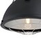 Westinghouse Pendant 60W Bartley 16.25In, Matte Black Drk Pewter Accnts Removable Cage 6116300 - alternate 6